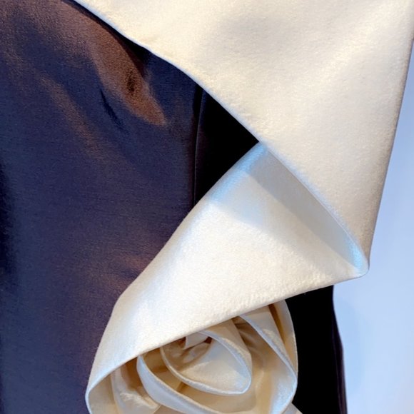 Chocolate and Ivory Dress - Picture 2 of 3